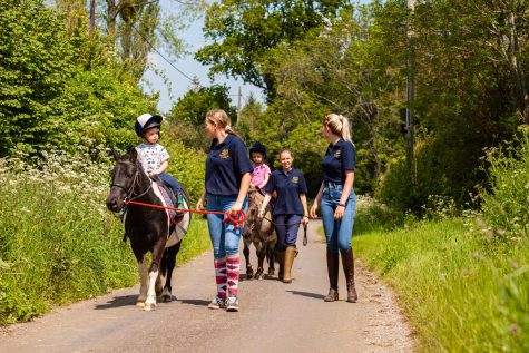 Riding Lessons on country lane