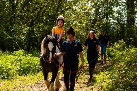 Horse trekking in Somerset Woodlands